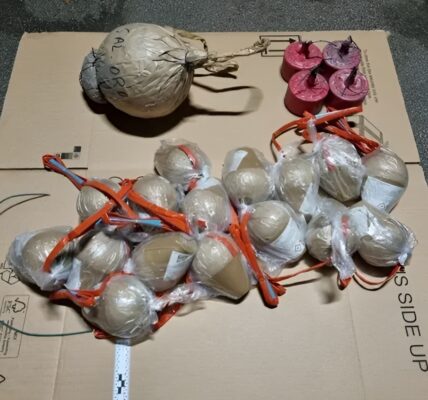 Shock in Den Haag: Politie vindt vuurwerkbom met kracht van 120 cobra’s — wat er bijna gebeurde, tart elke verbeelding 👇