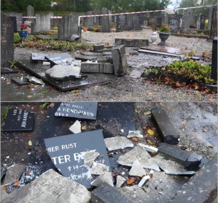 Schokkend moment in Blokzijl: bestuurder wordt plots onwel en rijdt recht een begraafplaats op – wat de politie daarna ontdekte, verbaasde iedereen 👇