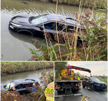 Verkehrsunfall in Neugarmssiel: Pkw landet im Wassergraben – Ersthelfer leisten vorbildliche Hilfe