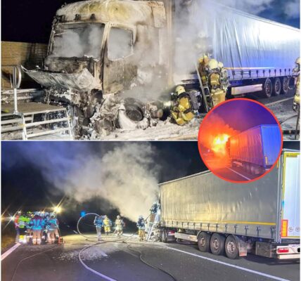 Horror-Feuer auf A1: LKW brennt lichterloh – Feuerwehr verhindert brisantes Papier-Desaster 🔥‼️