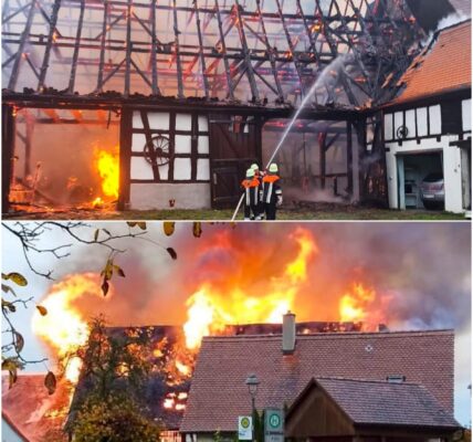 Inferno in Dombuhl: Scheune brennt lichterloh – zwei Schafe retten sich knapp! 🔥