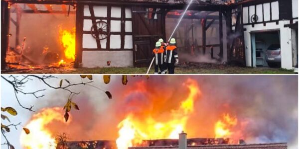 Inferno in Dombuhl: Scheune brennt lichterloh – zwei Schafe retten sich knapp! 🔥