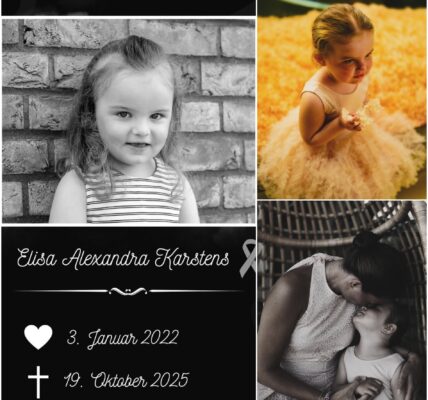 Mein Herz bricht, doch ich lächle fur dich – Elisa hat ihre Flugel bekommen. Schlaf wohl, mein Engel… Mama wird dich in jedem Sonnenstrahl wiederfinden.🕊️🕊️🕊️