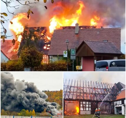 🔥 Großbrand in Dombühl: Scheune komplett zerstört – Zwei Schafe gerettet, Schaden über 300.000 Euro 🔥