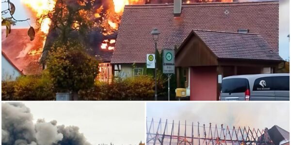 🔥 Großbrand in Dombühl: Scheune komplett zerstört – Zwei Schafe gerettet, Schaden über 300.000 Euro 🔥