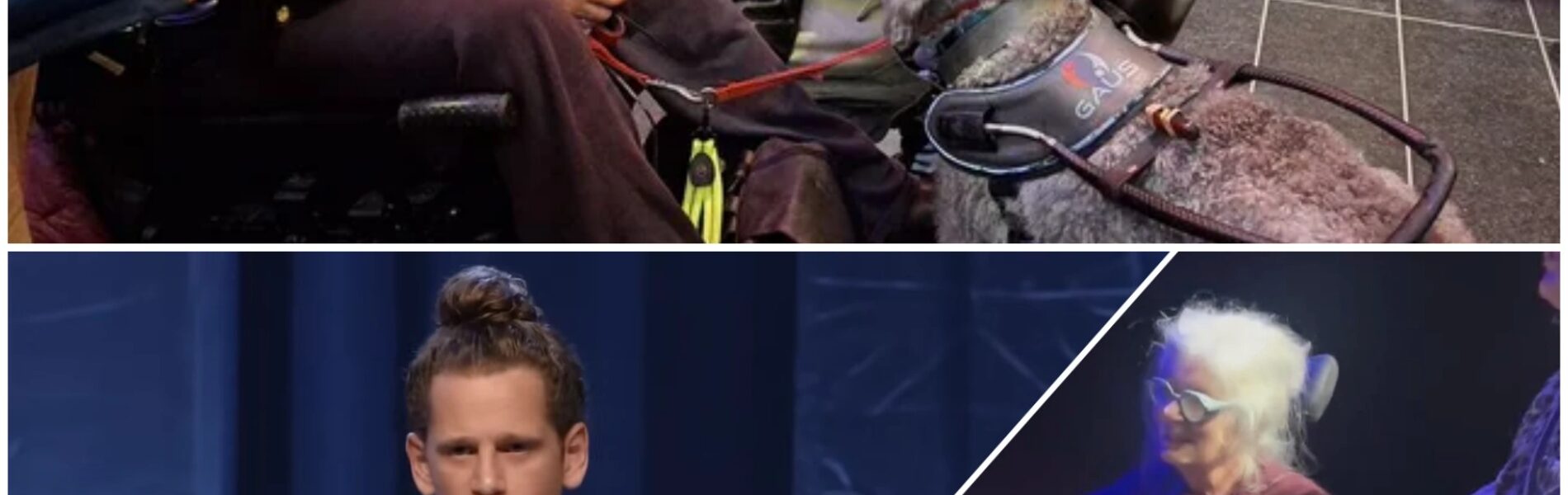 Cabaretier Patrick Laureij veroorzaakt opschudding: weigert optreden vanwege hulphond, breekt later in tranen uit