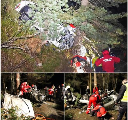 Tragisches Unglück in Südtirol: Hubschrauber stürzt bei Forstarbeiten ab – Pilot schwer verletzt