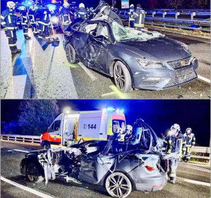 Tödlicher Crash auf der A12: Auto rast unter Sattelzug – mit einem tragischen Detail, das erst später bekannt wurde‼️👇