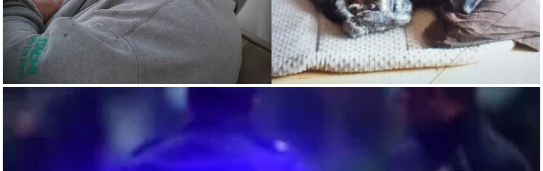 🔪 Moordonderzoek in Shirebrook: Man (57) en hond dood aangetroffen, tiener aangeklaagd voor moord