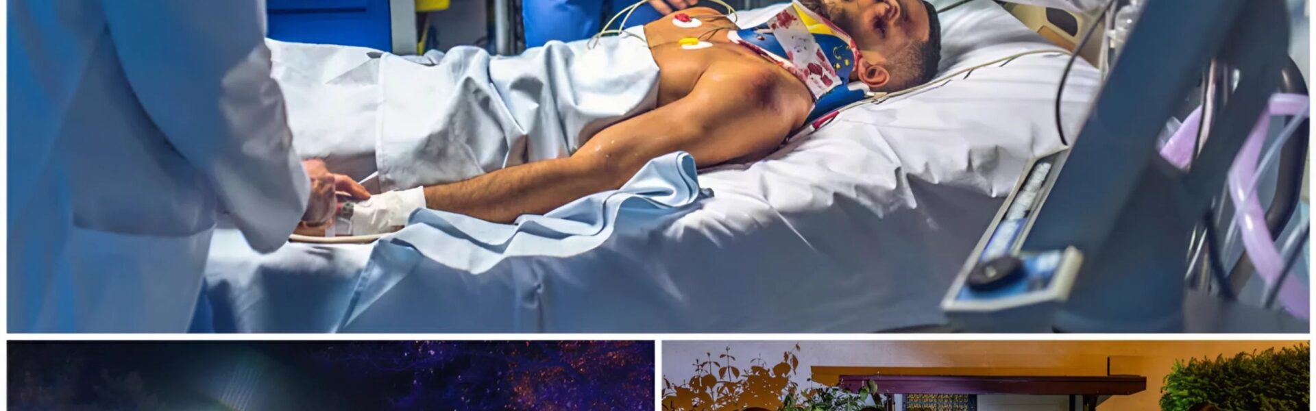 Blutige Eskalation bei Hochzeitsfeier in Hamburg-Tonndorf: Vier Verletzte nach brutaler Schlägerei