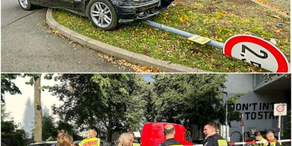 😲 Unfassbarer Schock auf Parkplatz! Senior verliert Kontrolle – Ehefrau von eigenem Auto getroffen! Chaos pur! 😱
