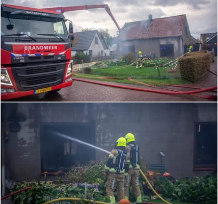 Man (87) overlijdt bij woningbrand in Zuilichem