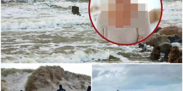 Tragisches Ende einer Suchaktion: Vermisste 84-Jährige aus Heiligenhafen tot im Meer gefunden