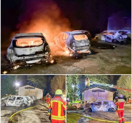 Feuerteufel in Bruchsal-Heidelsheim: Serie von Bränden schockiert die Region