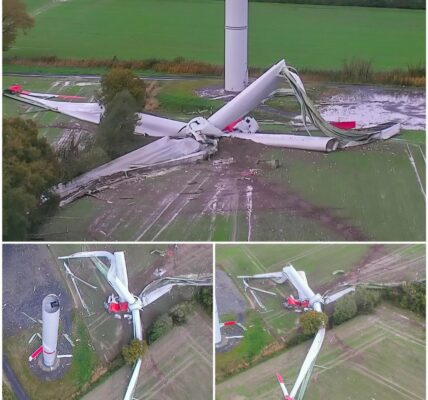 Dramatischer Zwischenfall im Münsterland: Windrad stürzt aus 125 Metern Höhe ab