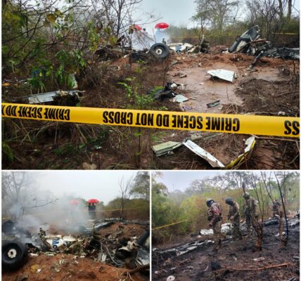 Flugzeugabsturz in Kenia: Elf Tote – Zwei Deutsche unter den Opfern