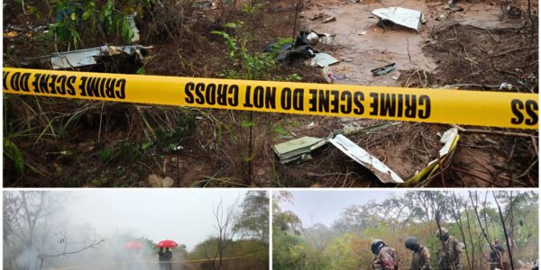 Flugzeugabsturz in Kenia: Elf Tote – Zwei Deutsche unter den Opfern