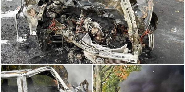 Frontalcrash auf der K 275 bei Nellinghof‑Schierberg: Pkw gerät gegen Baum, Fahrzeug gerät in Vollbrand