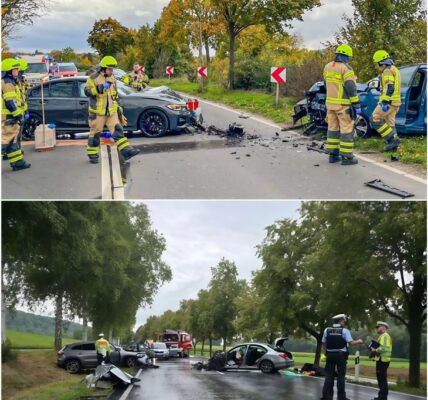 Hornisse löst Schock-Unfall aus – Drei Verletzte nach Frontalcrash bei Worms 🐝🚗💥