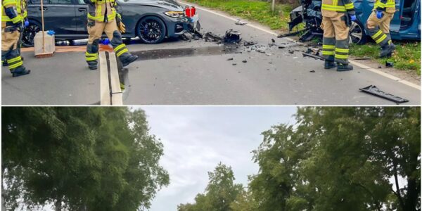 Hornisse löst Schock-Unfall aus – Drei Verletzte nach Frontalcrash bei Worms 🐝🚗💥