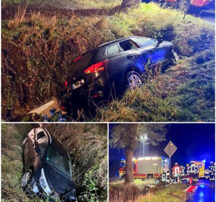 Unfall bei Fredenbeck: Betrunkener Autofahrer landet im Graben – Feuerwehr rettet 41-Jährigen aus Wrack 🚨