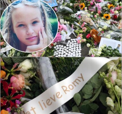 Acht jaar na de moord op Romy – blijft Brian N. nog altijd een gevaar voor de samenleving?‼️👇