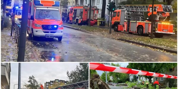 Schwerer Unfall in Hamburg‑Eimsbüttel: Wanderin bei Spaziergang von umstürzendem Baum lebensgefährlich verletzt
