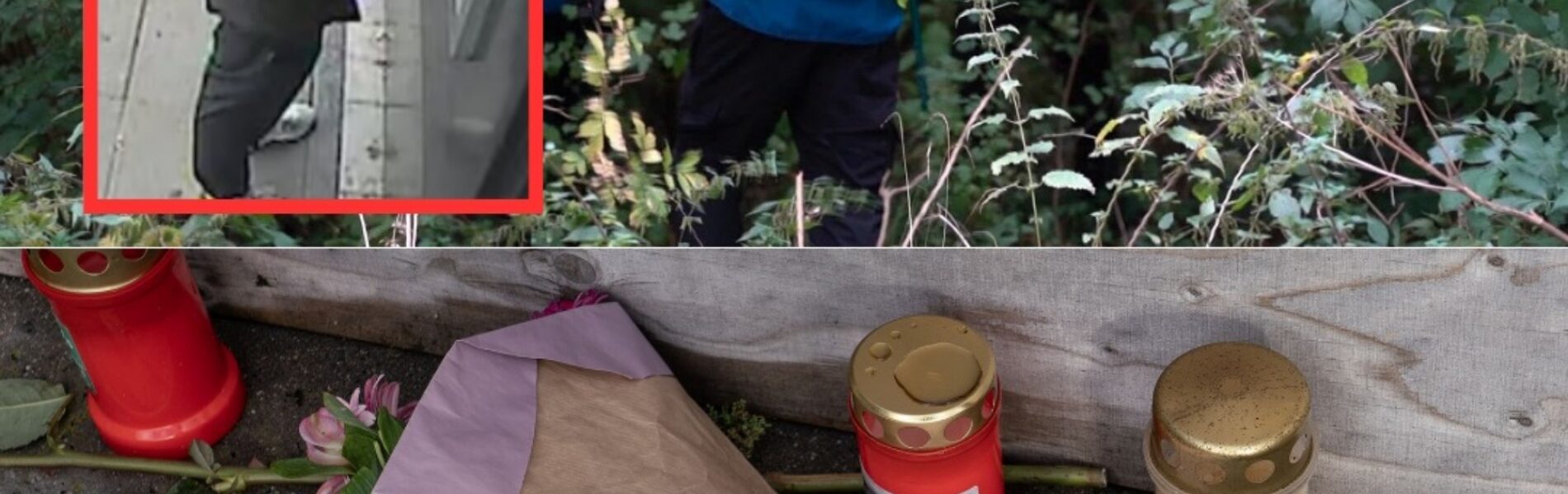 Lichaam vermiste Tijn (25) uit Nederland in stukken gevonden bij Belgisch vakantiehuisje