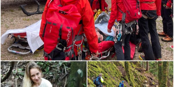 Tragödie im Wald: Wanderin bricht plötzlich zusammen – Minuten später folgt die schockierende Nachricht ihres Todes 💔🌲
