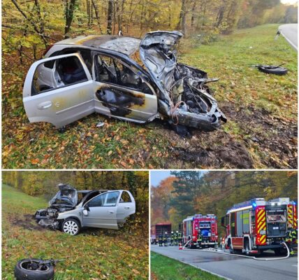 Schwerer Unfall bei Forst: Opel prallt frontal gegen Baum und geht in Flammen auf – Ersthelfer retten Fahrer aus dem Wrack
