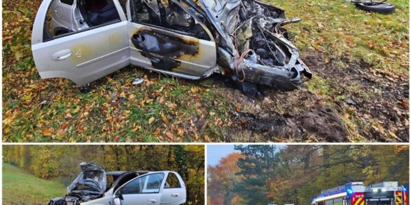 Schwerer Unfall bei Forst: Opel prallt frontal gegen Baum und geht in Flammen auf – Ersthelfer retten Fahrer aus dem Wrack