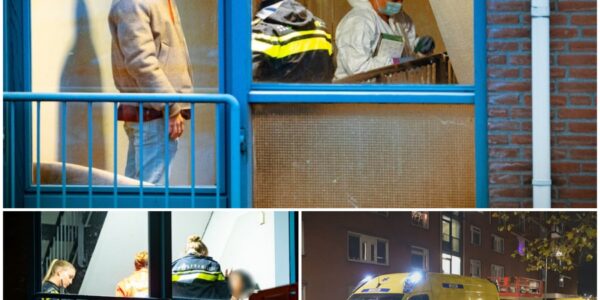 Dode (41) bij schietpartij in huis in Rotterdam – derde verdachte aangehouden