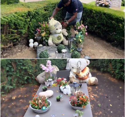 Onmenselijk: Gemeente dreigt familie met boete vanwege ‘te veel’ knuffels