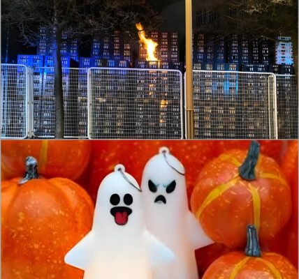 Halloween-Nacht in Pirmasens – Geheimnisvolle Flammen lodern auf dem Gelände der Park & Bellheimer-Brauerei, der wahre Auslöser sorgt fur Gänsehaut 🎃👇