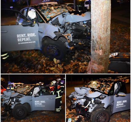 Wilde Verfolgungsjagd in Hamburg-Neuallermöhe endet mit schwerem Unfall – Carsharing-Auto zerschellt an Baum