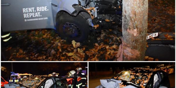 Wilde Verfolgungsjagd in Hamburg-Neuallermöhe endet mit schwerem Unfall – Carsharing-Auto zerschellt an Baum