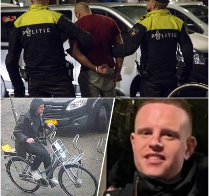 ‘Lichaam vermiste Tijn gevonden in België, broers uit Alkmaar verdacht van moord’