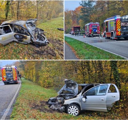 Feuer-Inferno auf der L556: Opel rast gegen Baum und geht in Flammen auf – Ersthelfer retten Fahrer in letzter Sekunde
