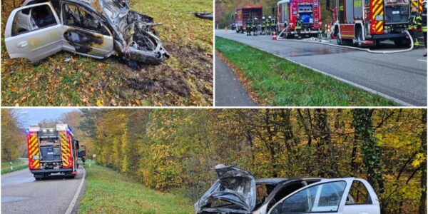 Feuer-Inferno auf der L556: Opel rast gegen Baum und geht in Flammen auf – Ersthelfer retten Fahrer in letzter Sekunde