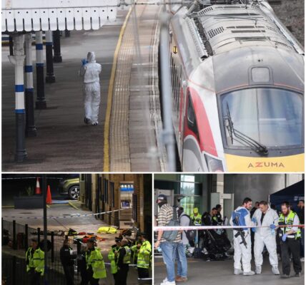Messerangriff in englischem Zug – Polizei schließt Terroranschlag aus