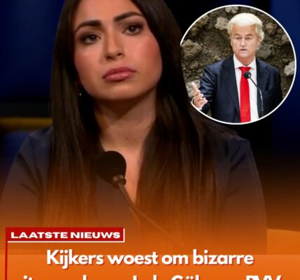 ophef na rtl-uitzending: lale gul noemt pvv-stemmers ‘eencellig’ — woedende reacties, wilders slaat terug: “wat is ze weer dom”