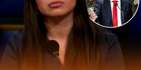 ophef na rtl-uitzending: lale gul noemt pvv-stemmers ‘eencellig’ — woedende reacties, wilders slaat terug: “wat is ze weer dom”