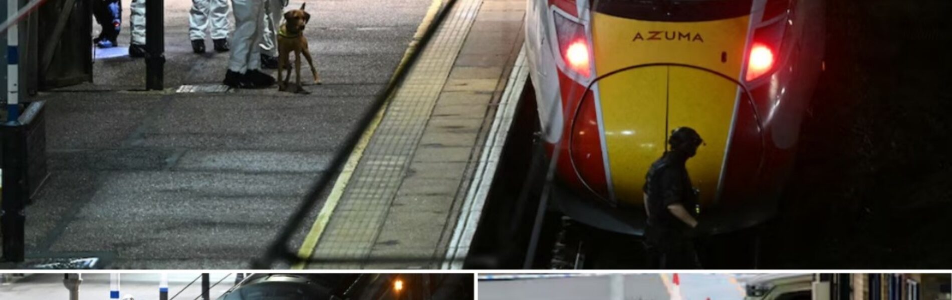 Mesaanval in Britse trein: 9 mensen in levensgevaar