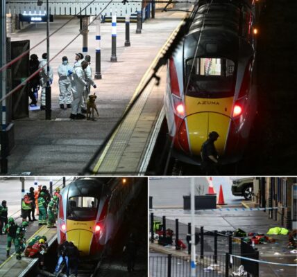 Mesaanval in Britse trein: 9 mensen in levensgevaar