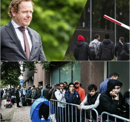 Nederland zegt ‘nee’ tegen asielzoekers op de arbeidsmarkt? De waarheid achter het nieuwe beleid‼️ 👇