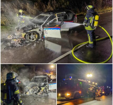 Feuerdrama auf der L560 bei Oberhausen-Rheinhausen – BMW geht in Flammen auf