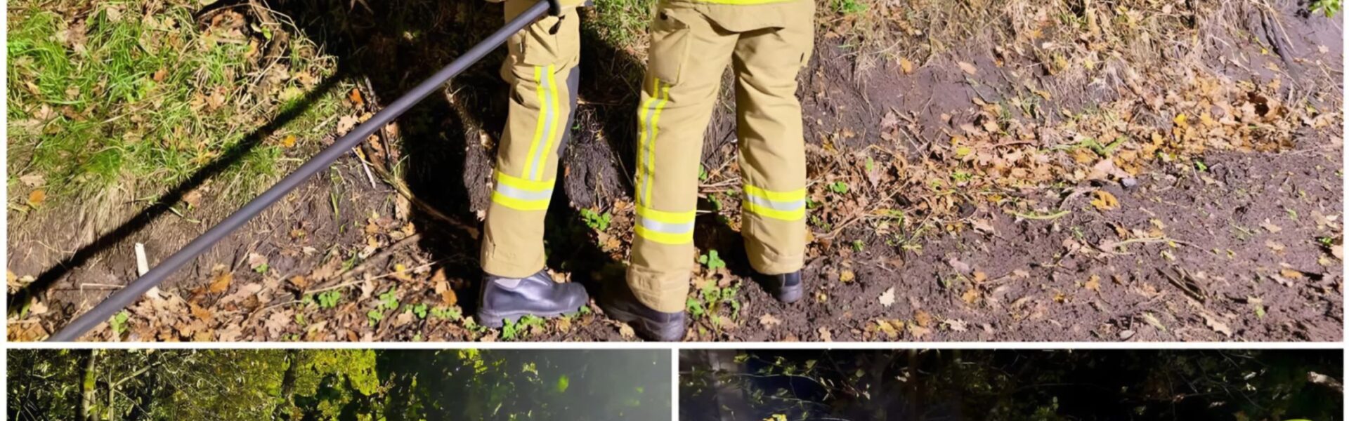 Mutiges Mädchen verhindert Schlimmeres: 11-Jährige entdeckt Waldbrand vom Kinderzimmer aus