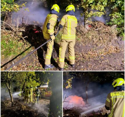 Mutiges Mädchen verhindert Schlimmeres: 11-Jährige entdeckt Waldbrand vom Kinderzimmer aus