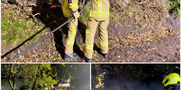 Mutiges Mädchen verhindert Schlimmeres: 11-Jährige entdeckt Waldbrand vom Kinderzimmer aus