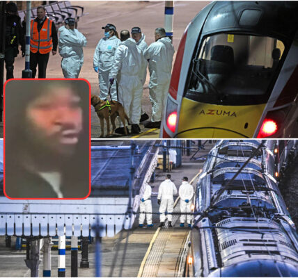 “Hij stak een jongen (14), viel een kapper aan en eindigde in een bloedbad: de waanzin van Anthony Williams (32)”